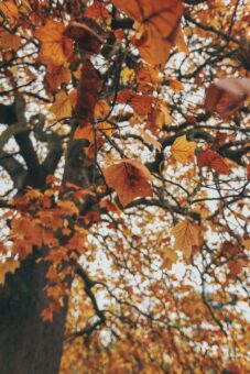 rob-keating-T5mz4AyE6-0-unsplash